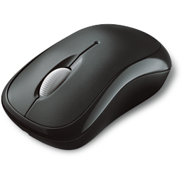 Wireless Mouse